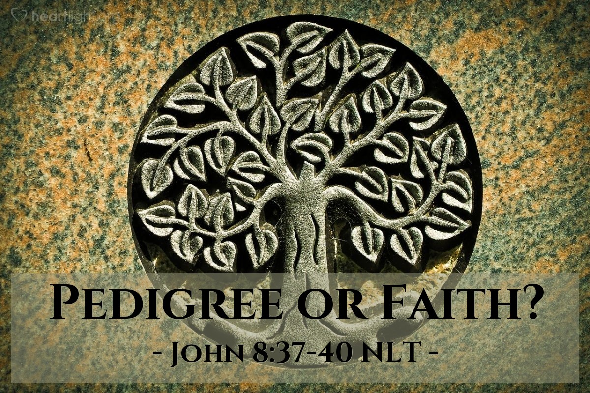 Illustration of John 8:37-40 NLT — "for if you were really the children of Abraham, you would follow his example. Instead, you are trying to kill me because I told you the truth, which I heard from God. Abraham never did such a thing."