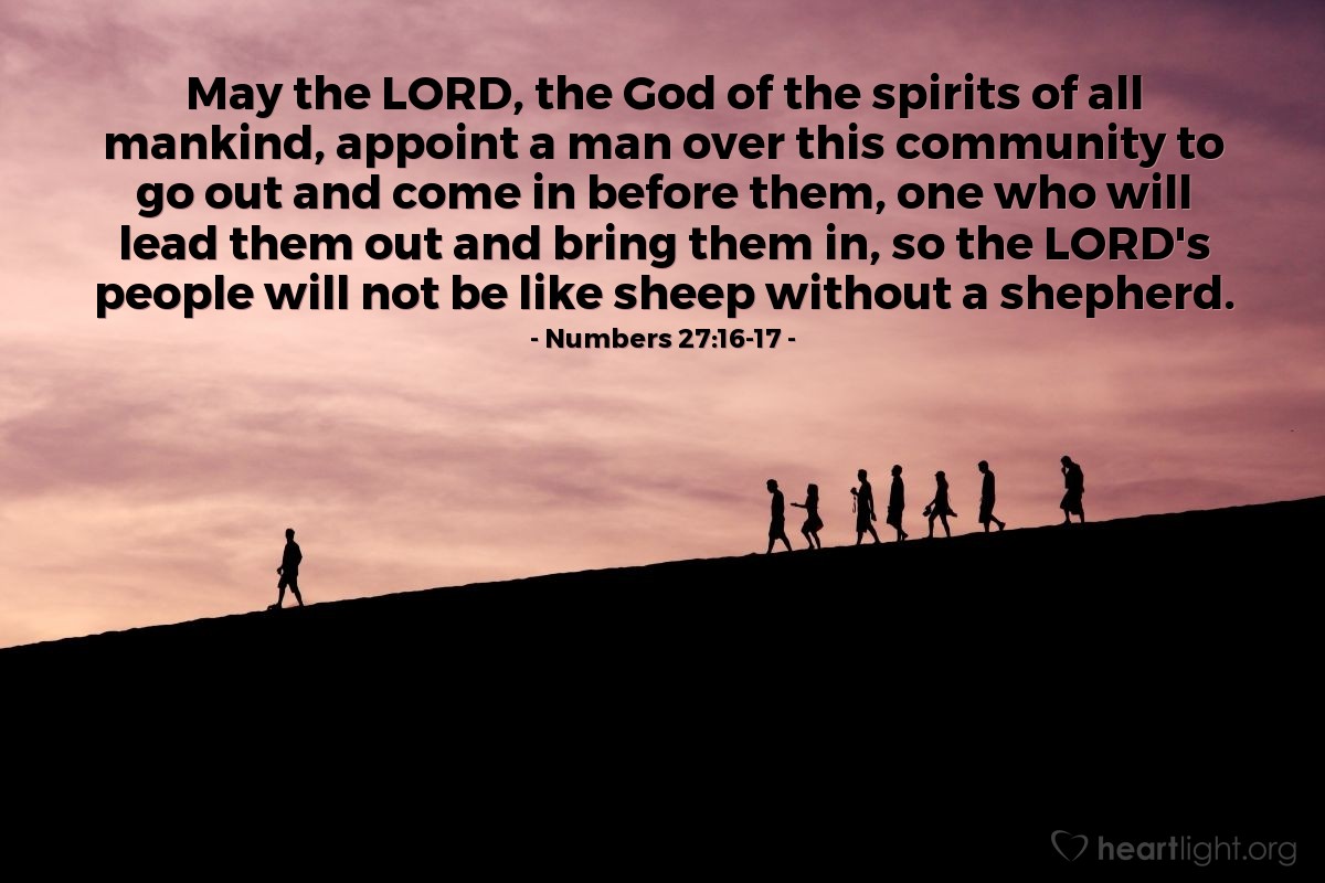 Illustration of Numbers 27:16-17 — May the Lord, the God of the spirits of all mankind, appoint a man over this community to go out and come in before them, one who will lead them out and bring them in, so the Lord's people will not be like sheep without a shepherd.