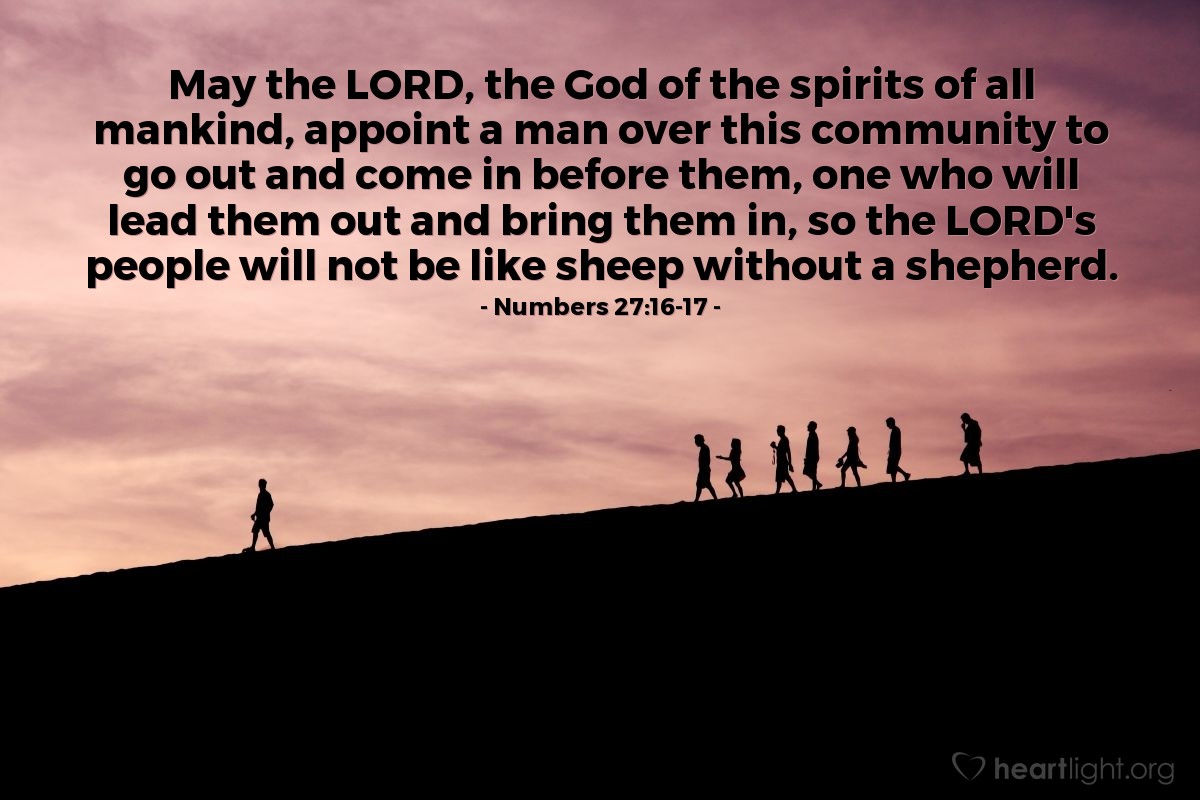 Numbers 27:16-17 | May the LORD, the God of the spirits of all mankind, appoint a man over this community to go out and come in before them, one who will lead them out and bring them in, so the LORD's people will not be like sheep without a shepherd.