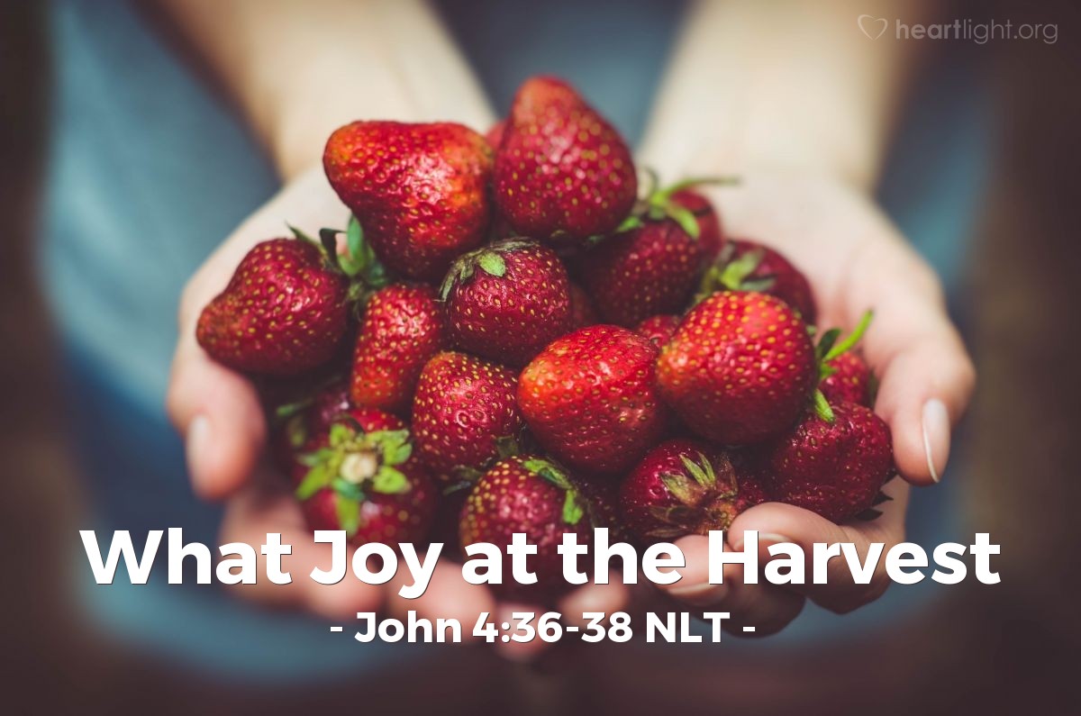 Illustration of John 4:36-38 NLT — "The harvesters are paid good wages, and the fruit they harvest is people brought to eternal life."