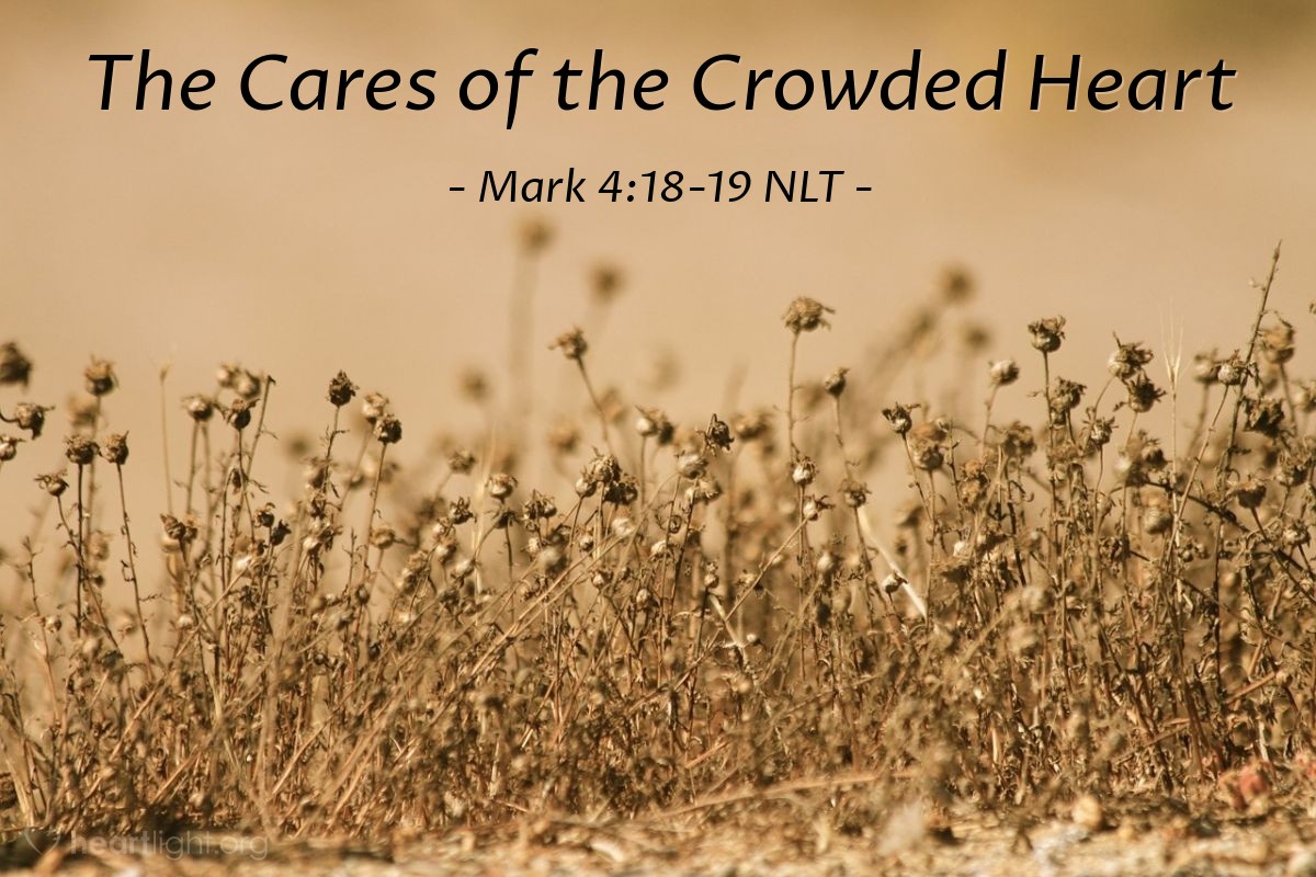 Illustration of Mark 4:18-19 NLT — "The seed that fell among the thorns represents others who hear God's word, but all too quickly the message is crowded out by the worries of this life, the lure of wealth, and the desire for other things, so no fruit is produced.