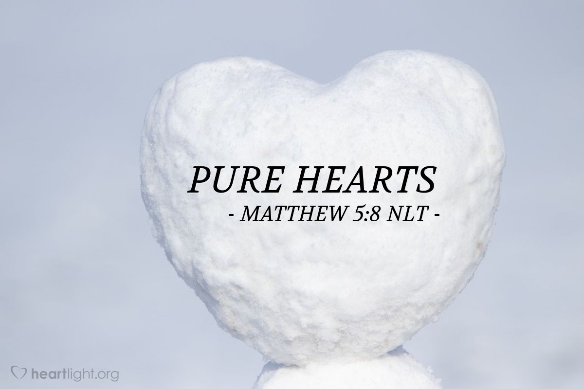 Illustration of Matthew 5:8 NLT — [Jesus continued:]
"God blesses those whose hearts are pure,
for they will see God."