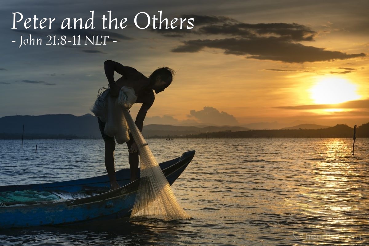 Illustration of John 21:8-11 NLT — "Bring some of the fish you've just caught,"