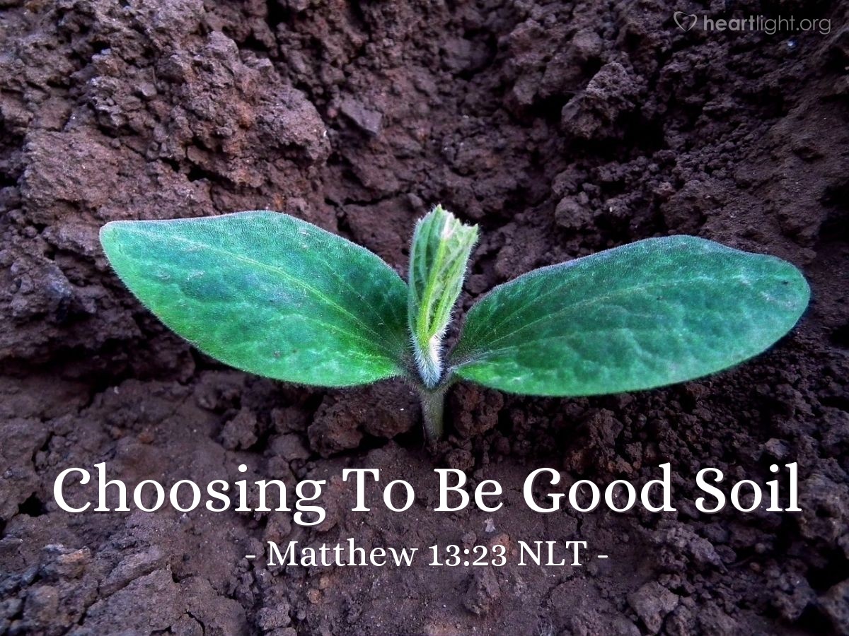 good soil bible