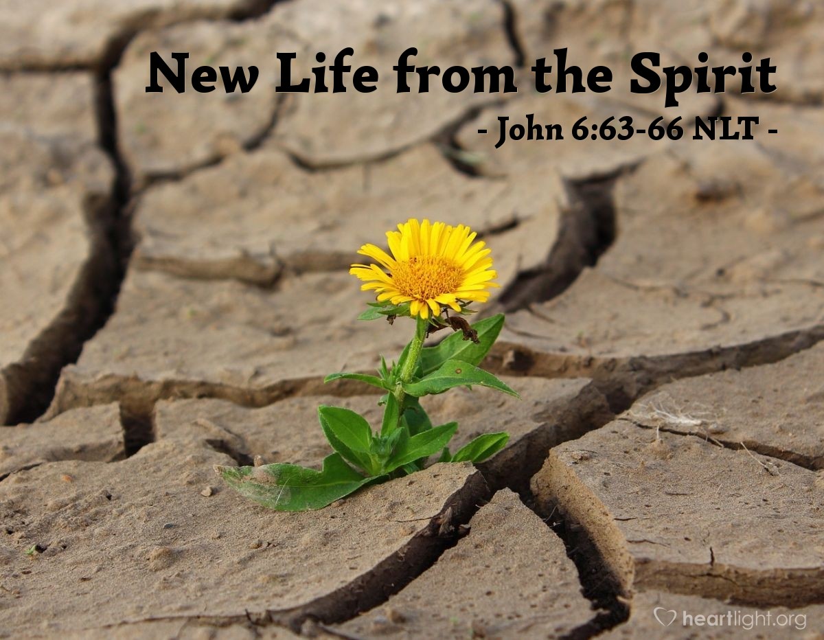 Illustration of John 6:63-66 NLT — "The Spirit alone gives eternal life. Human effort accomplishes nothing. And the very words I have spoken to you are spirit and life. But some of you do not believe me."