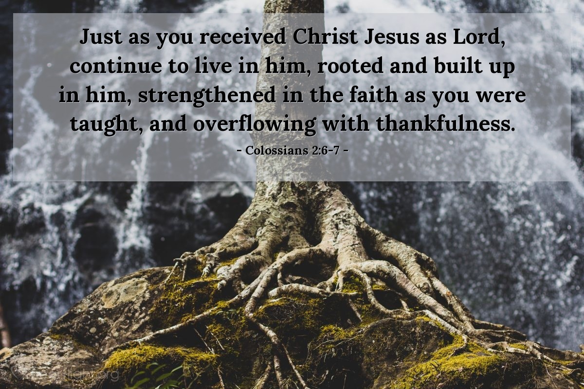Illustration of Colossians 2:6-7 — Just as you received Christ Jesus as Lord, continue to live in him, rooted and built up in him, strengthened in the faith as you were taught, and overflowing with thankfulness.