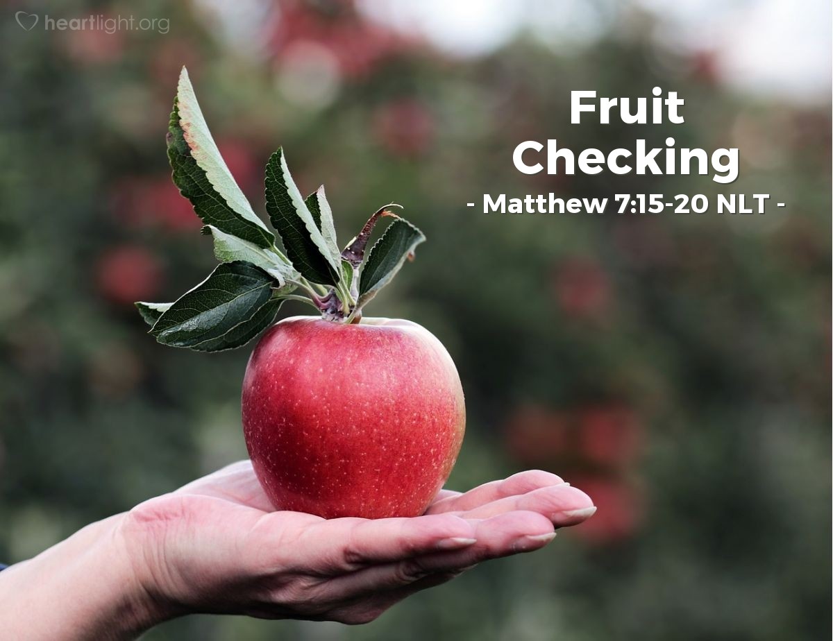 Illustration of Matthew 7:15-20 NLT —  You can identify them by their fruit, that is, by the way they act.