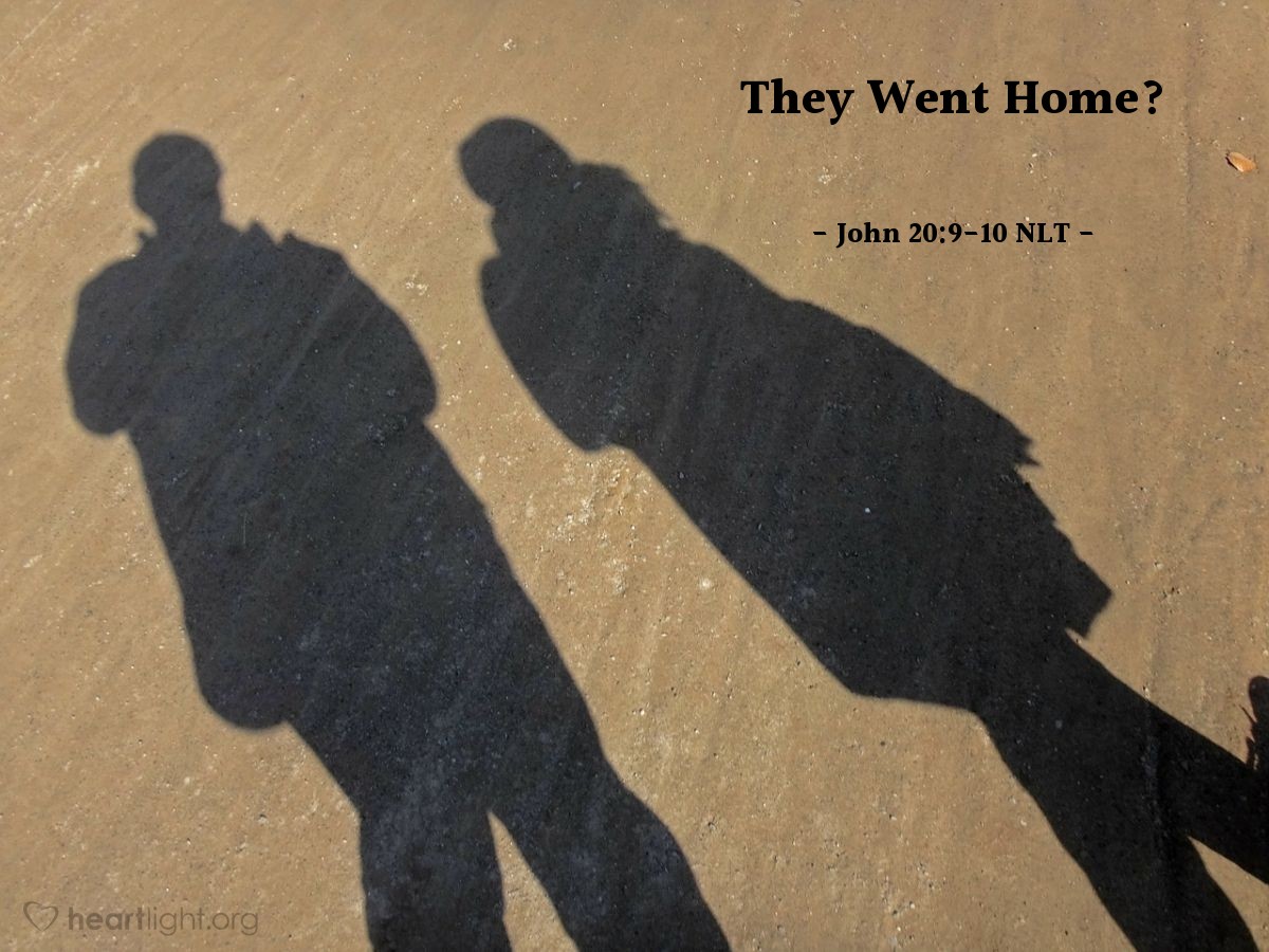 Illustration of John 20:9-10 NLT — [For until John and Peter saw the empty tomb,] they still hadn't understood the Scriptures that said Jesus must rise from the dead. Then they went home.