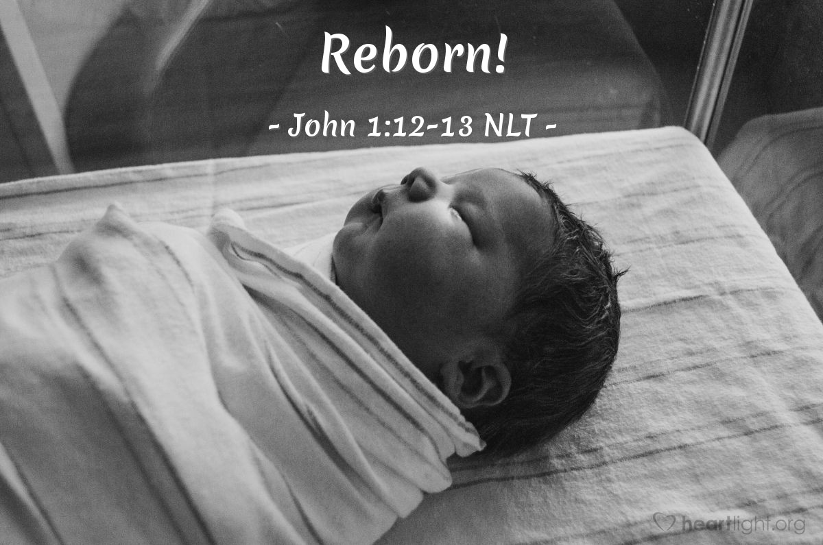Illustration of John 1:12-13 NLT —  They are reborn — not with a physical birth resulting from human passion or plan, but a birth that comes from God.