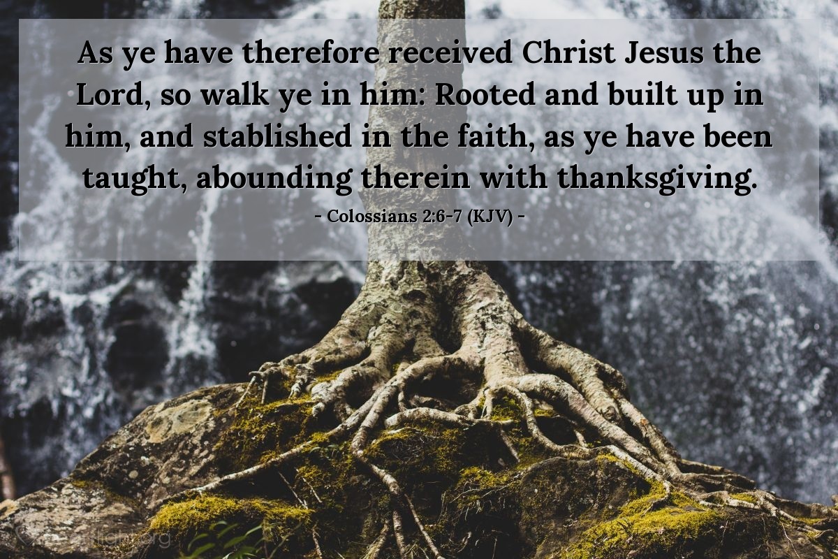 Illustration of Colossians 2:6-7 (KJV) — As ye have therefore received Christ Jesus the Lord, so walk ye in him: Rooted and built up in him, and stablished in the faith, as ye have been taught, abounding therein with thanksgiving.