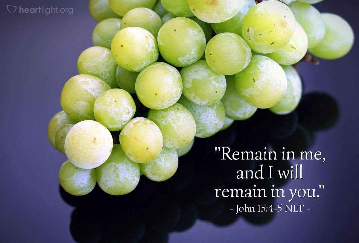 Illustration of John 15:4-5 NLT — "Remain in me, and I will remain in you. For a branch cannot produce fruit if it is severed from the vine, and you cannot be fruitful unless you remain in me.

"