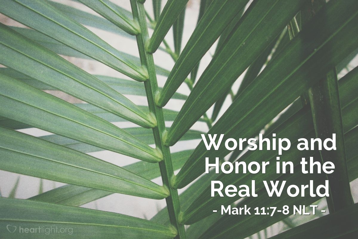 Illustration of Mark 11:7-8 NLT — Many in the crowd spread their garments on the road ahead of him, and others spread leafy branches they had cut in the fields.