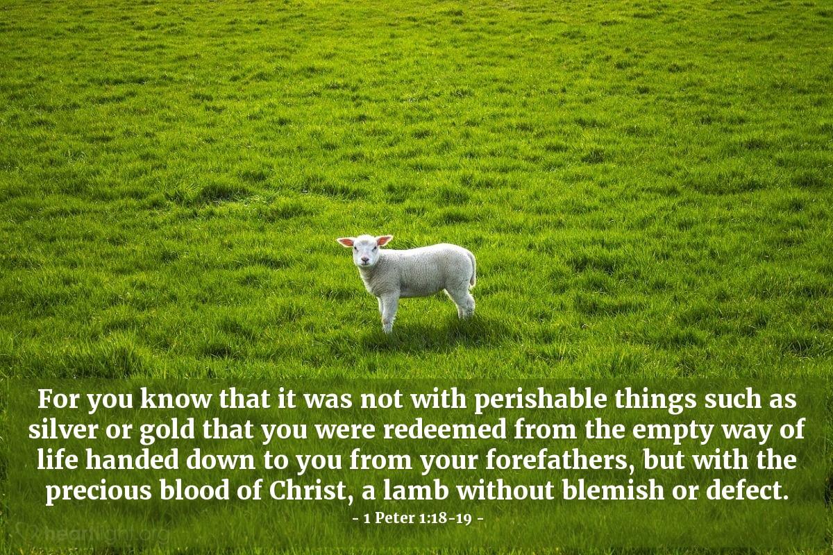 Illustration of 1 Peter 1:18-19 — For you know that it was not with perishable things such as silver or gold that you were redeemed from the empty way of life handed down to you from your forefathers, but with the precious blood of Christ, a lamb without blemish or defect.