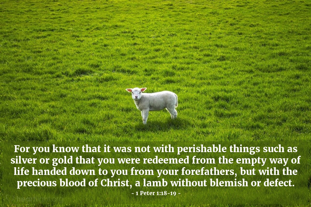 1 Peter 1:18-19 | For you know that it was not with perishable things such as silver or gold that you were redeemed from the empty way of life handed down to you from your forefathers, but with the precious blood of Christ, a lamb without blemish or defect.