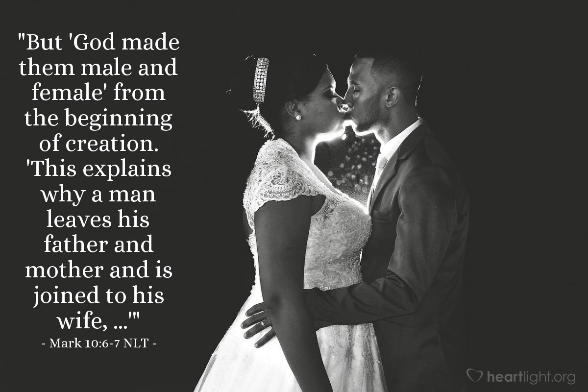 Illustration of Mark 10:6-7 NLT — "But 'God made them male and female' from the beginning of creation. 'This explains why a man leaves his father and mother and is joined to his wife, ...'"