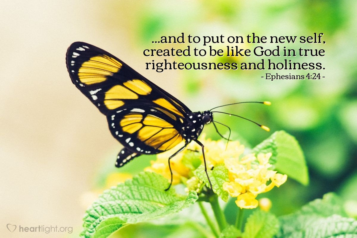 Ephesians 4:24 | ...and to put on the new self, created to be like God in true righteousness and holiness.