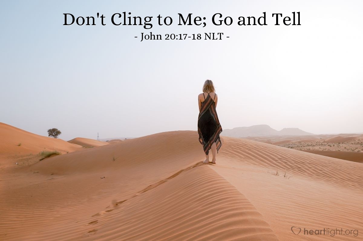  Don t Cling To Me Go And Tell John 20 17 18 What Jesus Did 