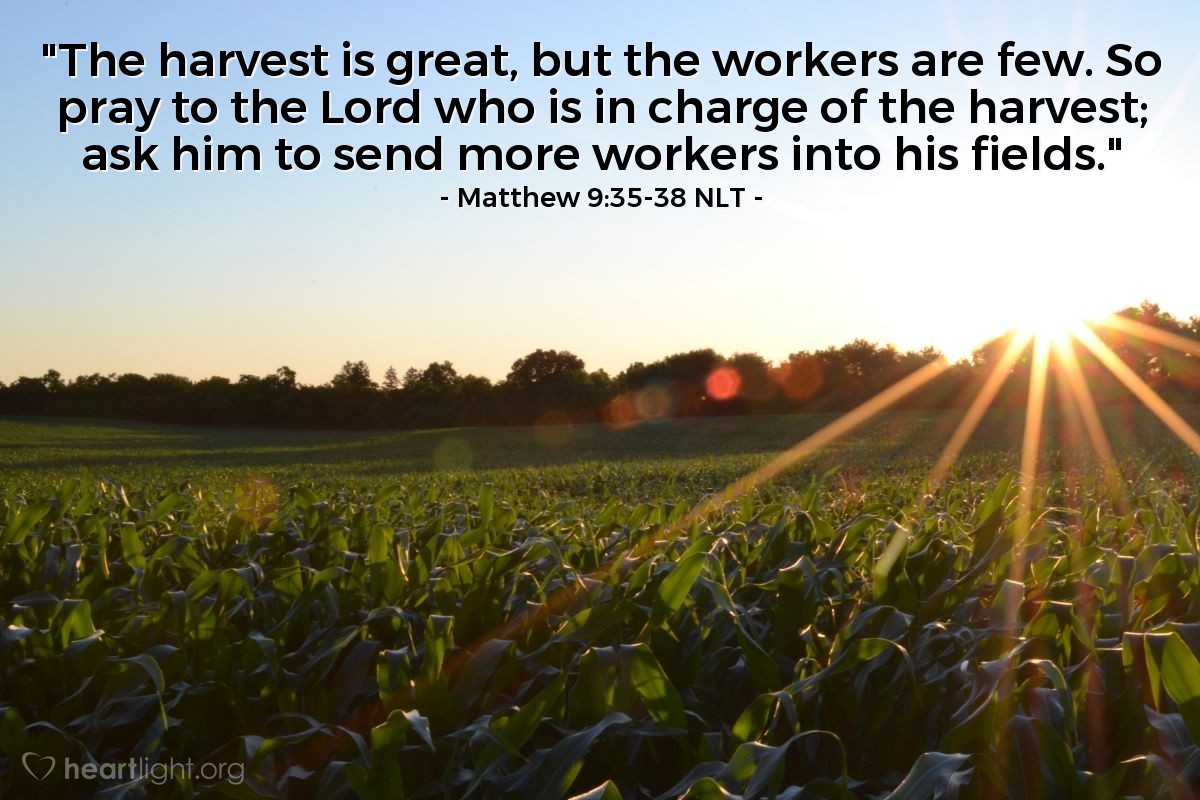 Illustration of Matthew 9:35-38 NLT — "The harvest is great, but the workers are few. So pray to the Lord who is in charge of the harvest; ask him to send more workers into his fields."