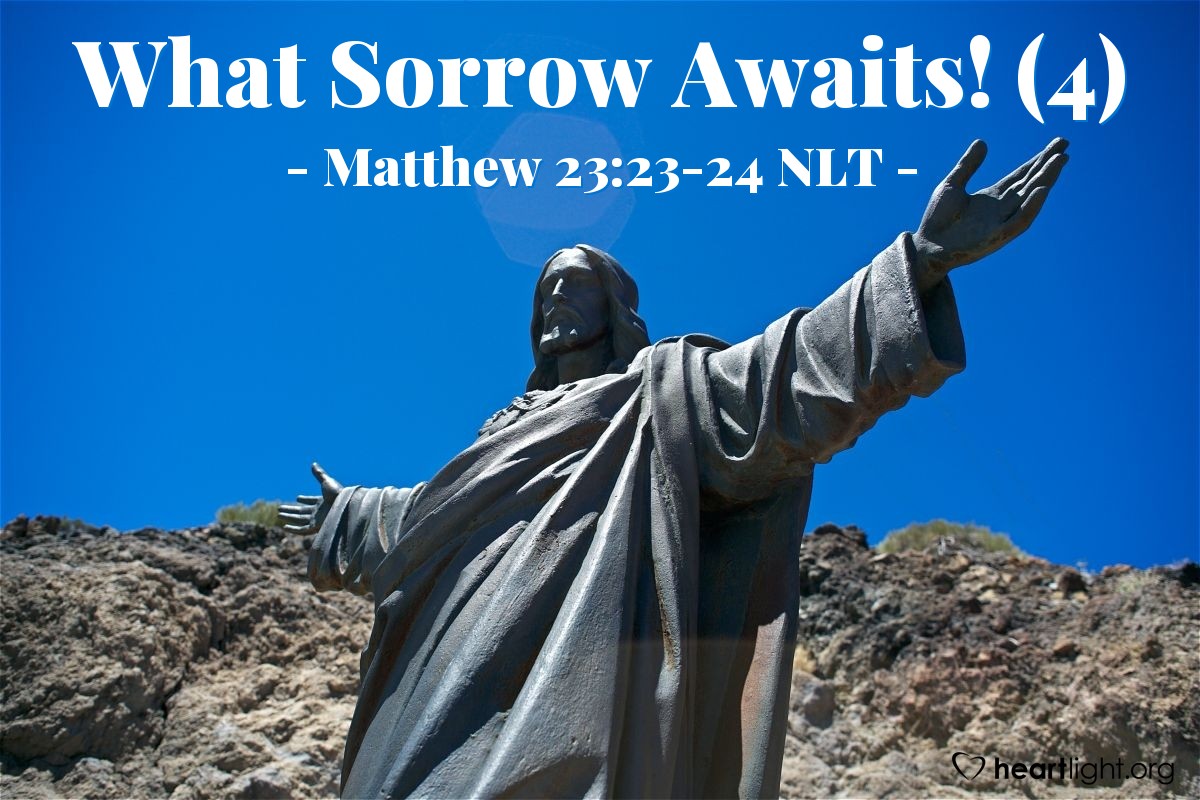 Illustration of Matthew 23:23-24 NLT — "What sorrow awaits you teachers of religious law and you Pharisees.