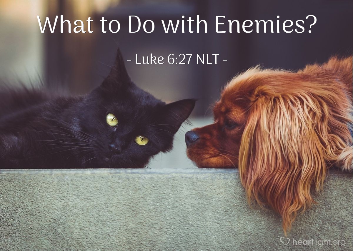 Illustration of Luke 6:27 NLT — [Jesus began teaching on our interactions with others:] "But to you who are willing to listen, I say, love your enemies! Do good to those who hate you."