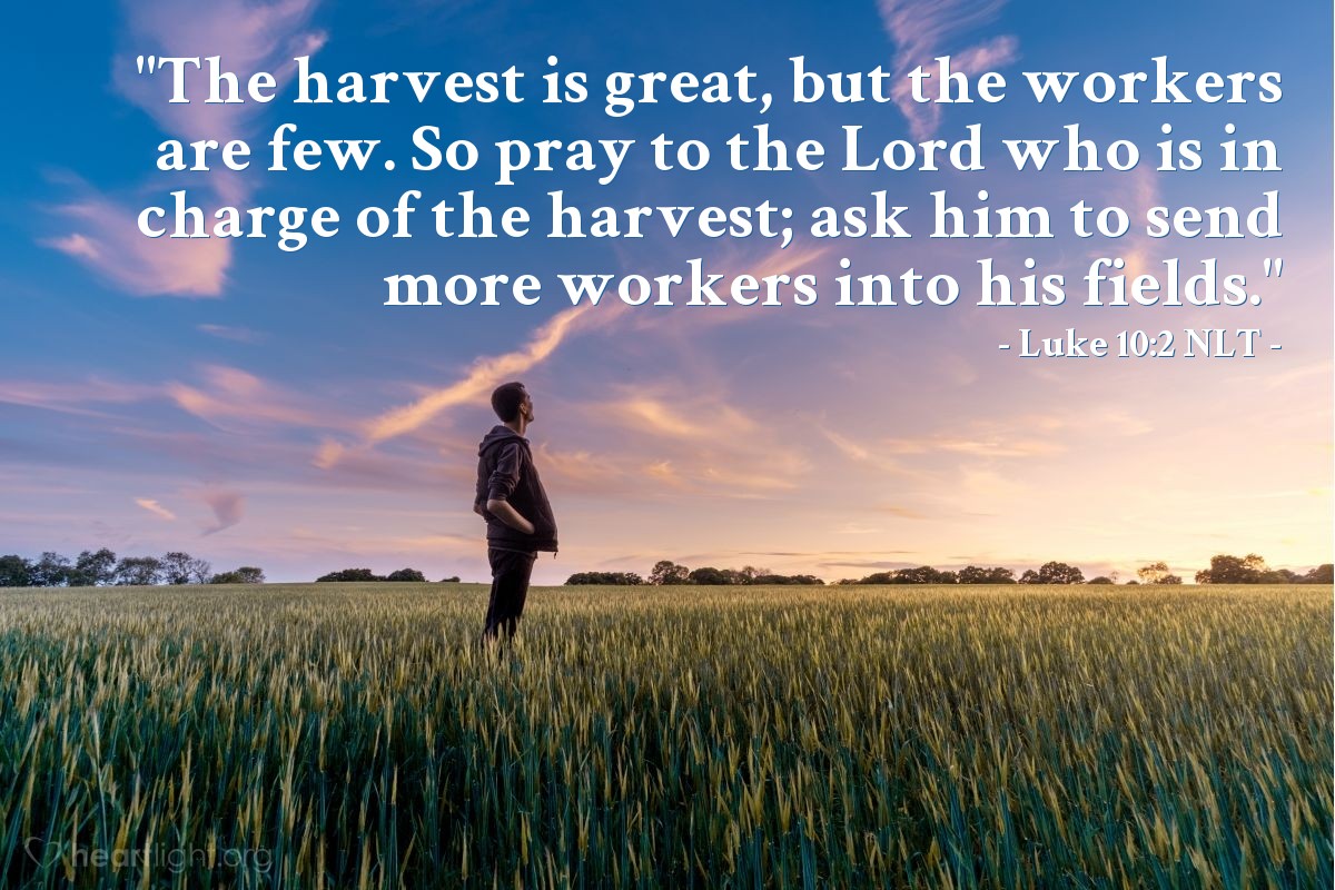 James 3 17 18 Illustrated Harvest Of Righteousness Heartlight Gallery