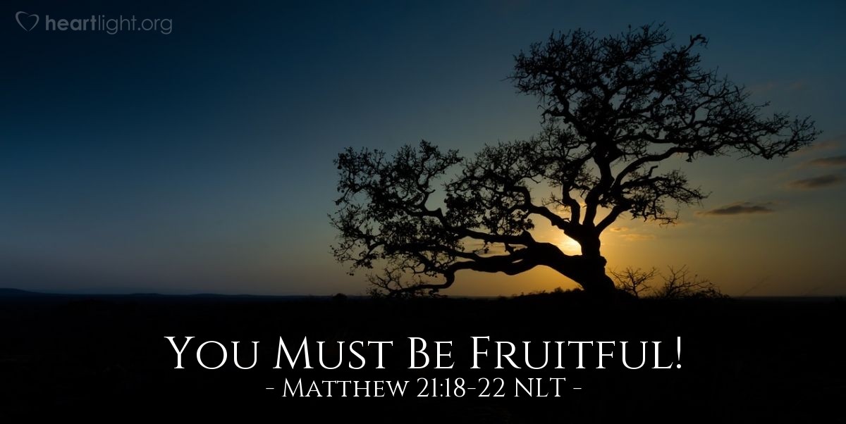 Illustration of Matthew 21:18-22 NLT — "May you never bear fruit again!"