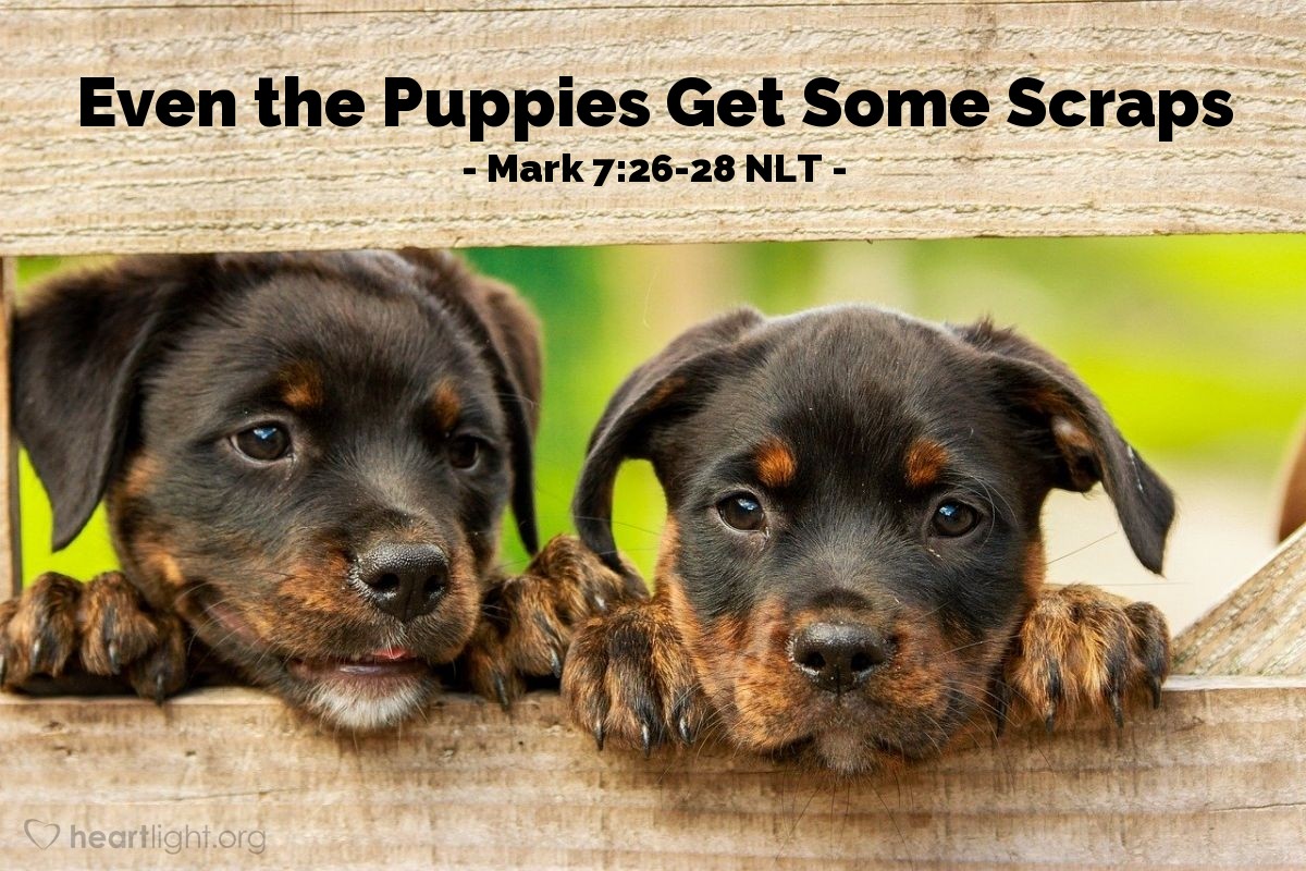 Illustration of Mark 7:26-28 NLT — "First I should feed the children — my own family, the Jews. It isn't right to take food from the children and throw it to the dogs."