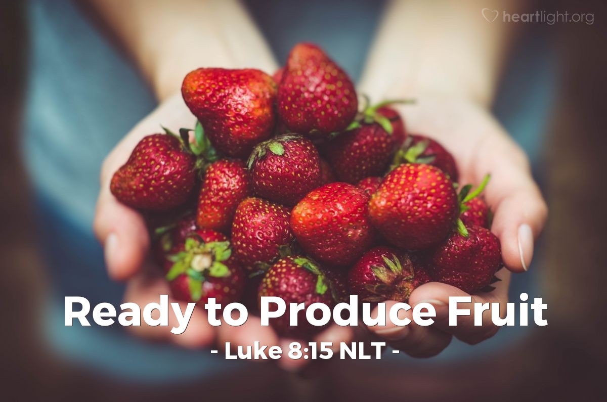 Illustration of Luke 8:15 NLT — "And the seeds that fell on the good soil represent honest, good-hearted people who hear God's word, cling to it, and patiently produce a huge harvest."