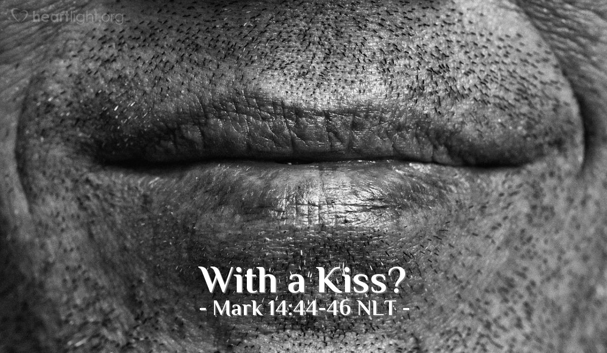 Illustration of Mark 14:44-46 NLT — "You will know which one to arrest when I greet him with a kiss. Then you can take him away under guard."   ——   "Rabbi!"