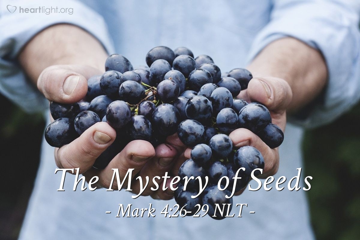 Illustration of Mark 4:26-29 NLT — "The Kingdom of God is like a farmer who scatters seed on the ground."