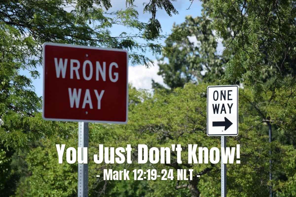 Illustration of Mark 12:19-24 NLT — "Teacher, Moses gave us a law that if a man dies, leaving a wife without children, his brother should marry the widow and have a child who will carry on the brother's name."