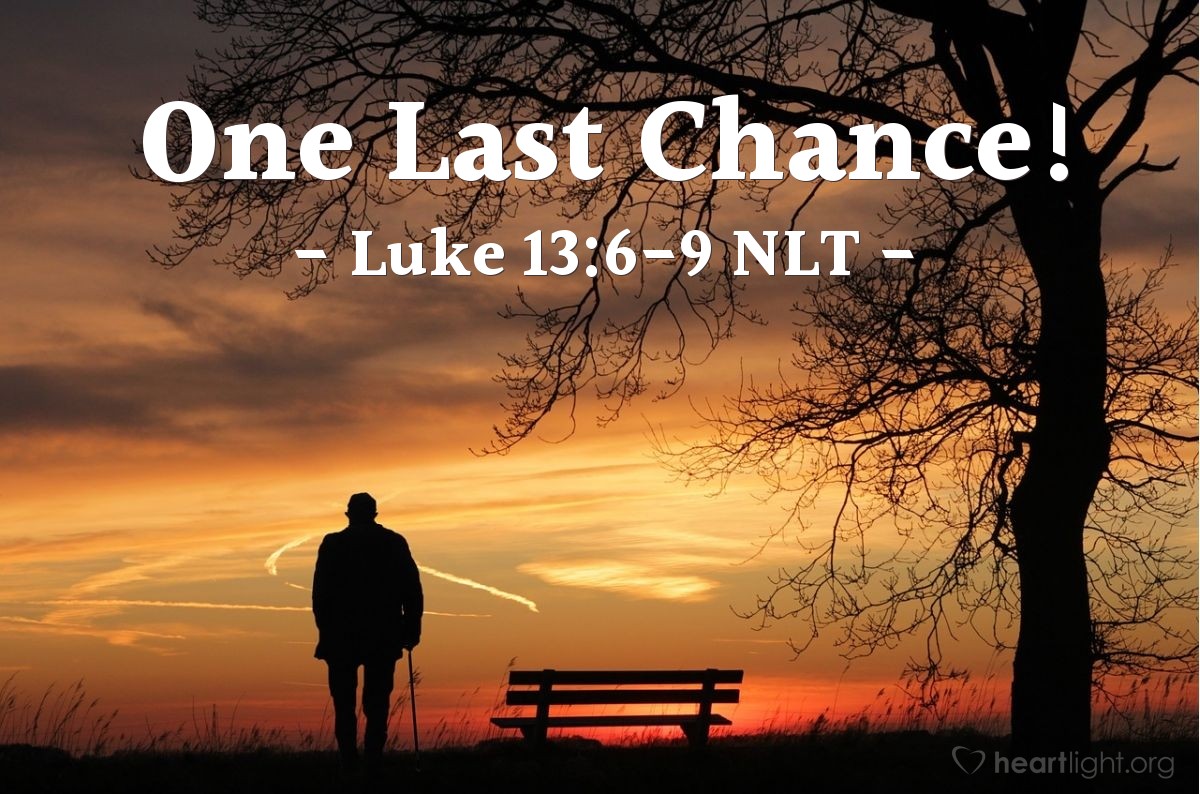 Illustration of Luke 13:6-9 NLT — "A man planted a fig tree in his garden and came again and again to see if there was any fruit on it, but he was always disappointed."