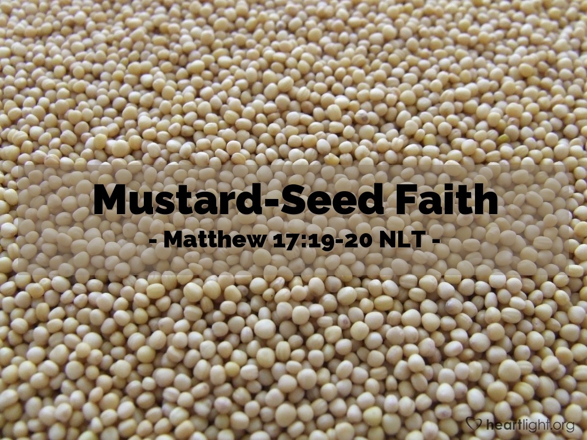 Illustration of Matthew 17:19-20 NLT — "I tell you the truth, if you had faith even as small as a mustard seed, you could say to this mountain, 'Move from here to there,' and it would move. Nothing would be impossible."