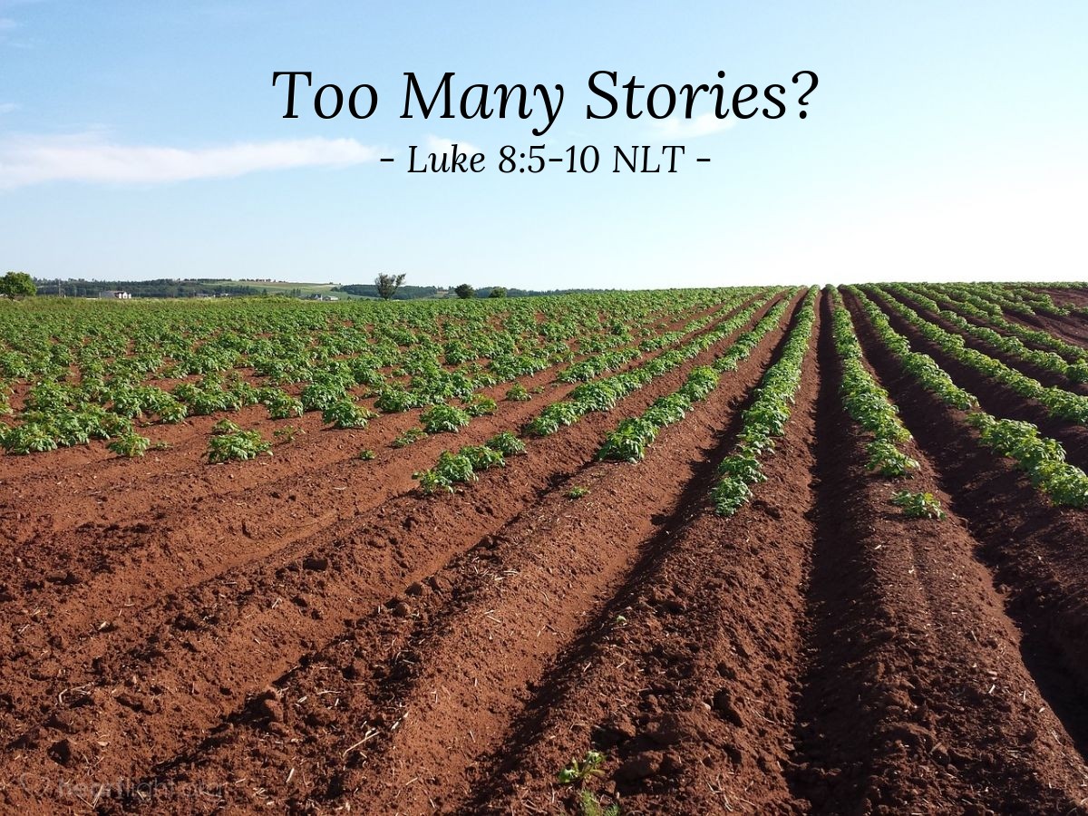 Illustration of Luke 8:5-10 NLT — "A farmer went out to plant his seed."