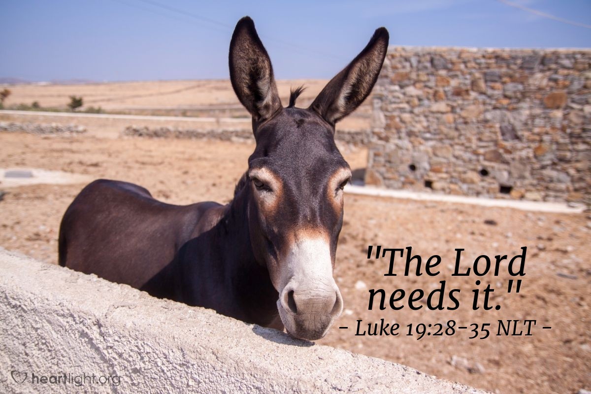 Illustration of Luke 19:28-35 NLT — "The Lord needs it."