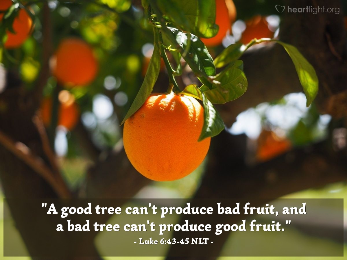 Illustration of Luke 6:43-45 NLT — "A good tree can't produce bad fruit, and a bad tree can't produce good fruit."