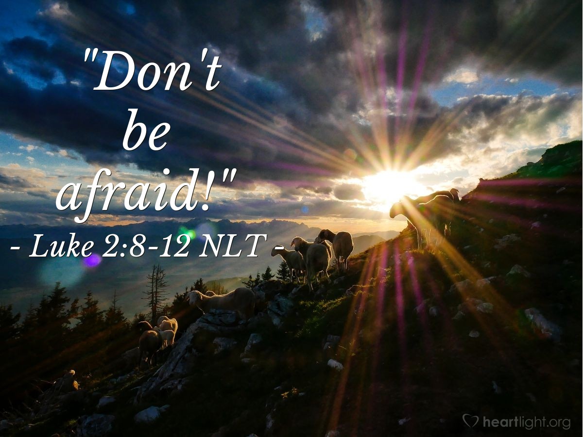 Illustration of Luke 2:8-12 NLT — "Don't be afraid!"