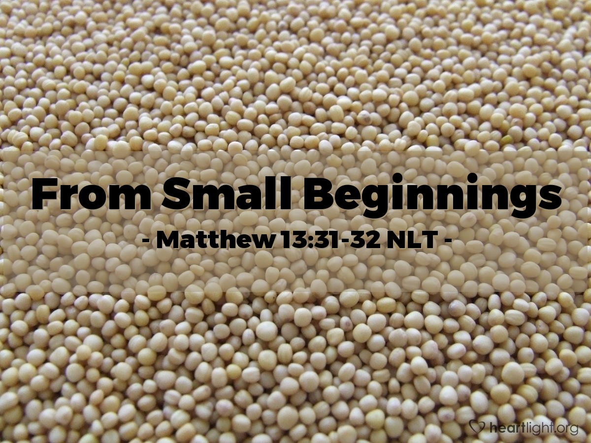 Illustration of Matthew 13:31-32 NLT —  It is the smallest of all seeds, but it becomes the largest of garden plants; it grows into a tree, and birds come and make nests in its branches.