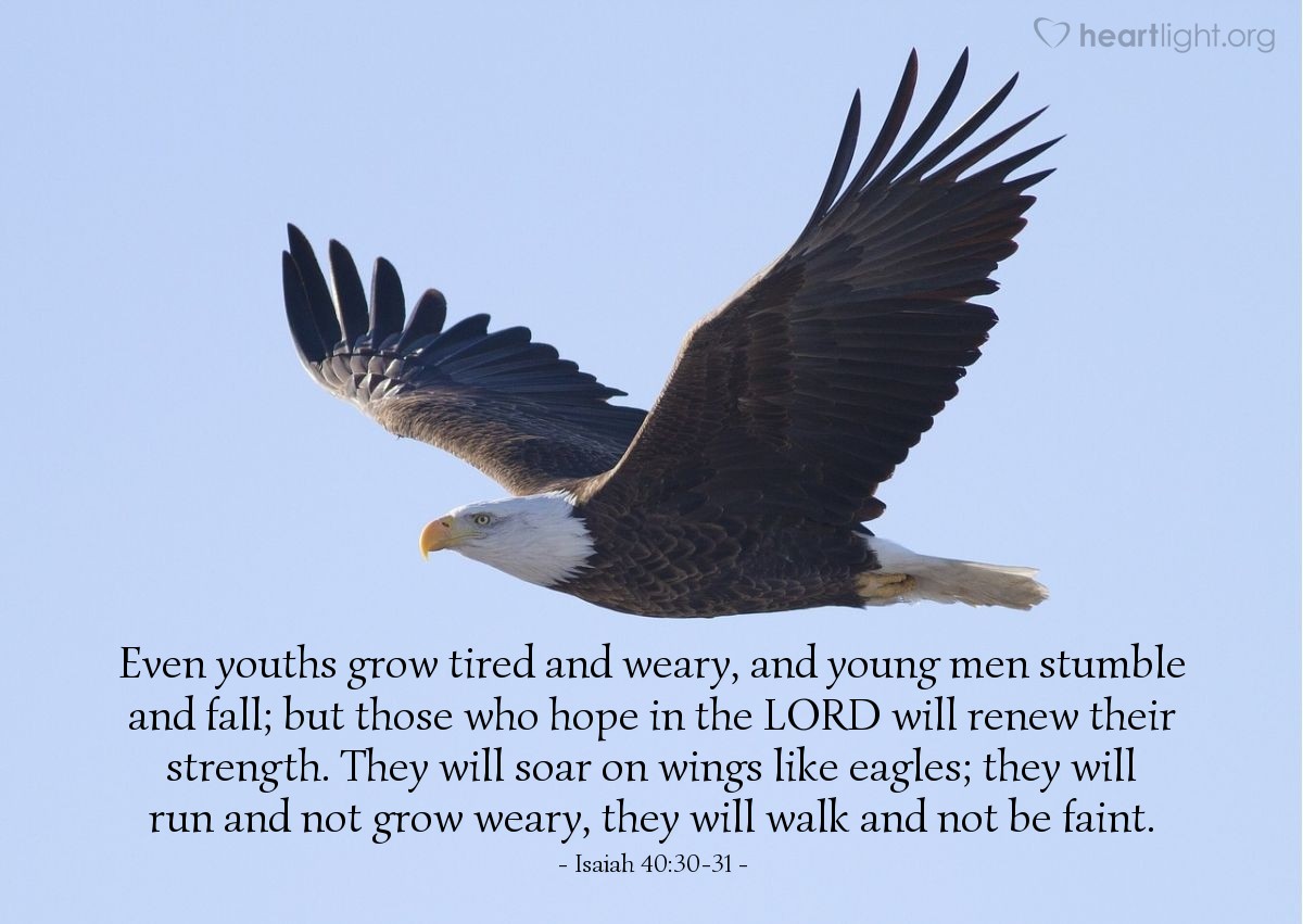 Illustration of Isaiah 40:30-31 — Even youths grow tired and weary, and young men stumble and fall; but those who hope in the Lord will renew their strength. They will soar on wings like eagles; they will run and not grow weary, they will walk and not be faint.
