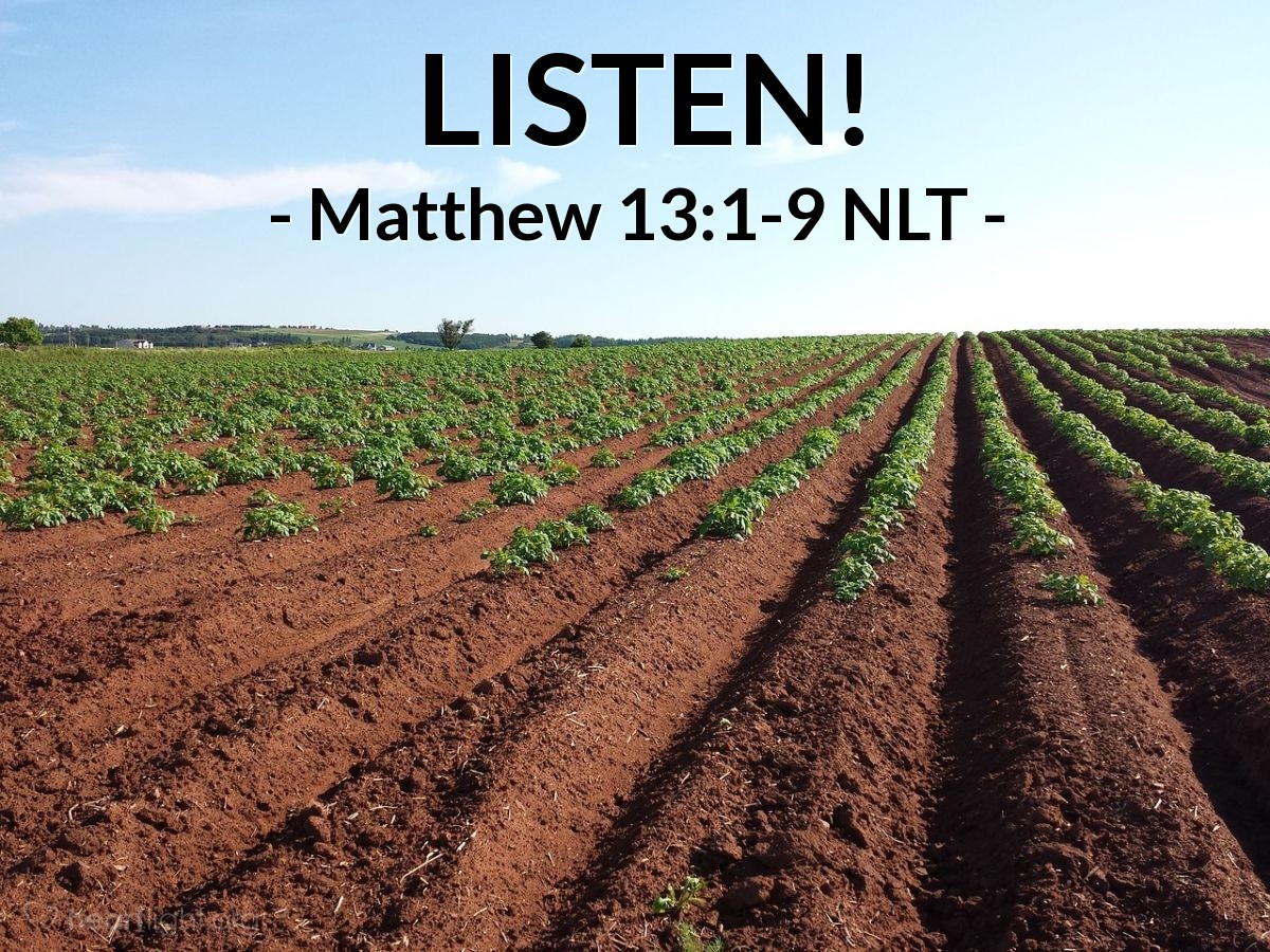 Illustration of Matthew 13:1-9 NLT — "Listen!