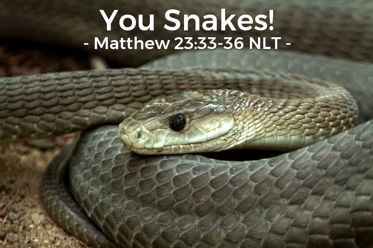 Illustration of Matthew 23:33-36 NLT — "Snakes! Sons of vipers! How will you escape the judgment of hell?

"