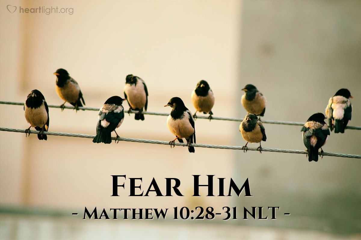 Illustration of Matthew 10:28-31 NLT —  Fear only God, who can destroy both soul and body in hell.