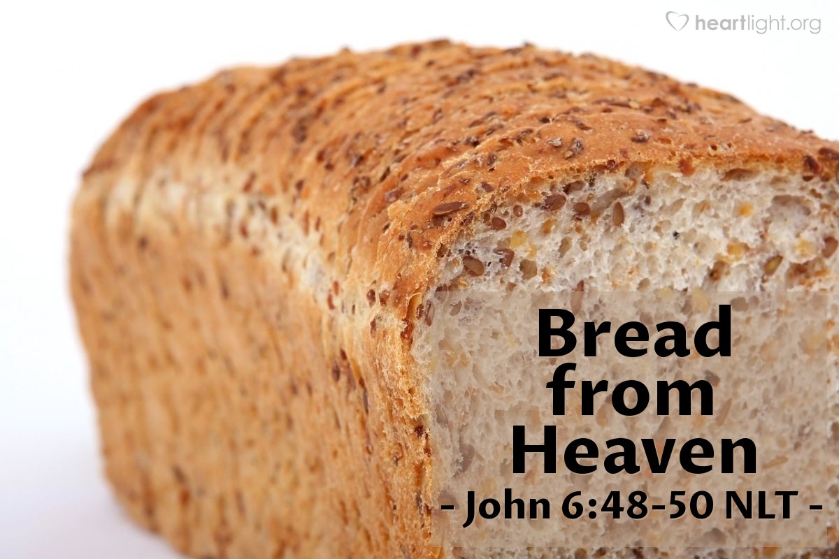 Illustration of John 6:48-50 NLT — [Jesus said,] "Yes, I am the bread of life! Your ancestors ate manna in the wilderness, but they all died. Anyone who eats the bread from heaven, however, will never die."