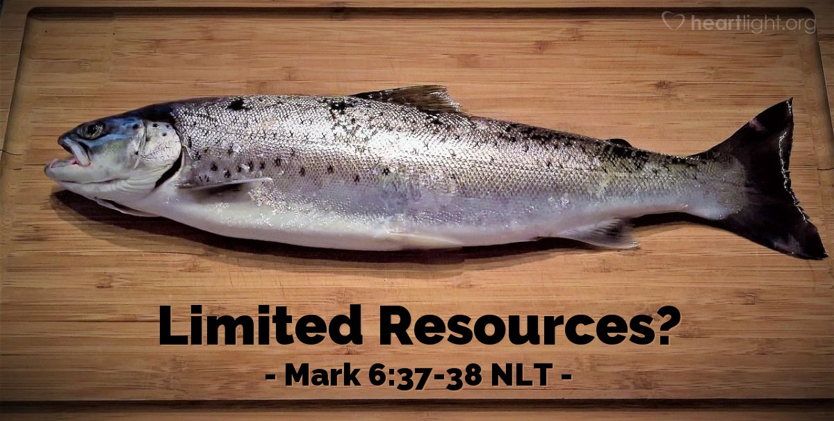 Illustration of Mark 6:37-38 NLT — "We have five loaves of bread and two fish."