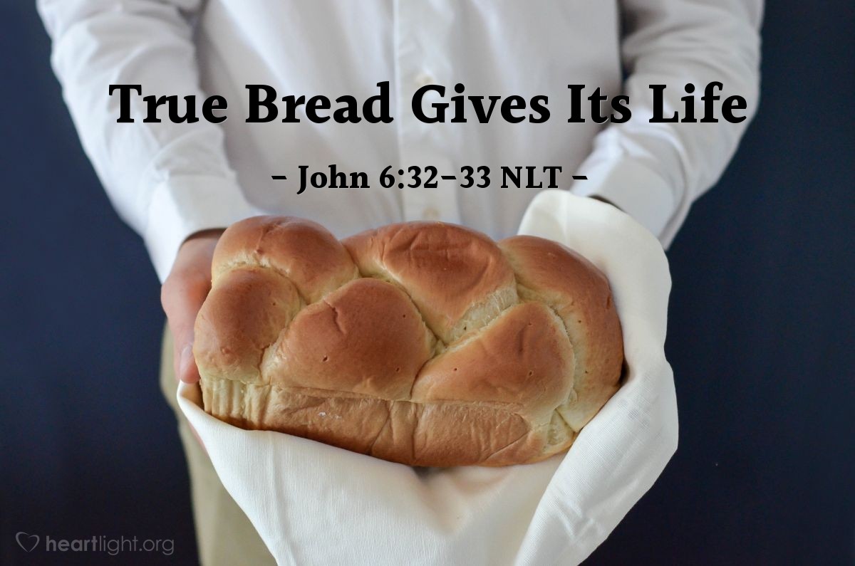 Illustration of John 6:32-33 NLT — "I tell you the truth, Moses didn't give you bread from heaven."