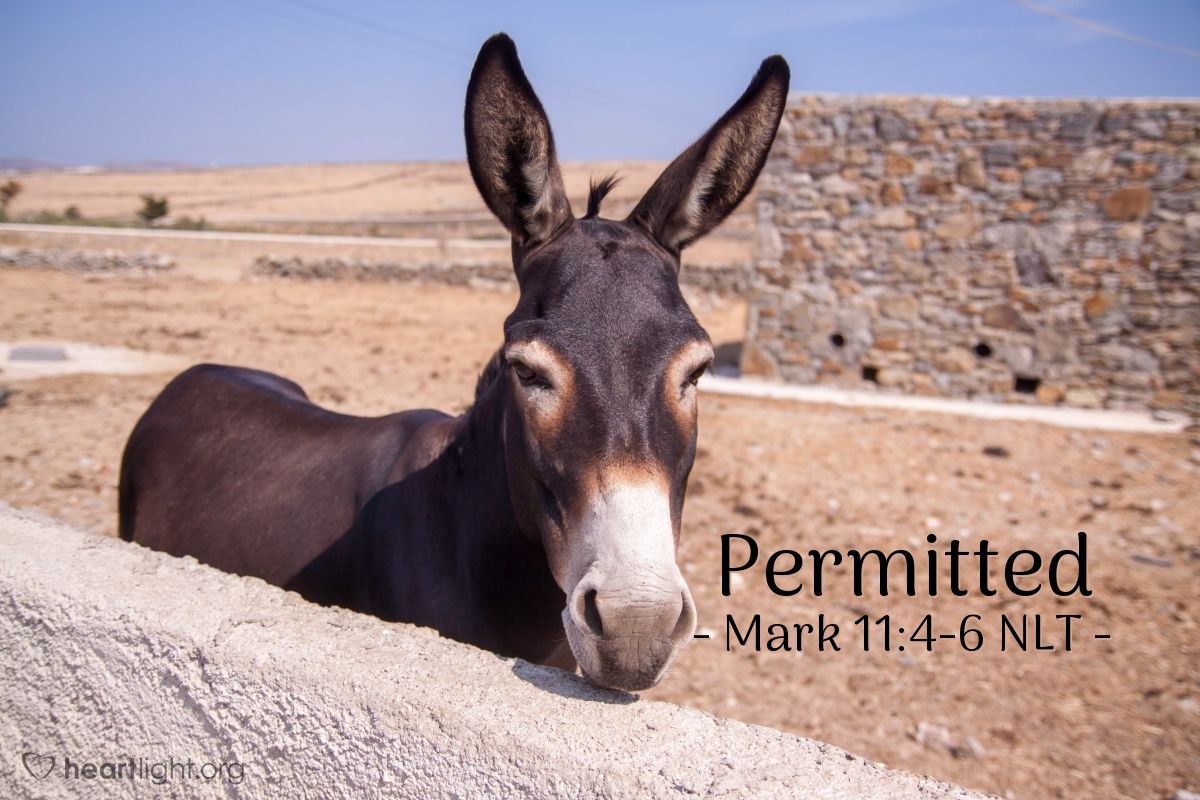 Illustration of Mark 11:4-6 NLT — "What are you doing, untying that colt?"