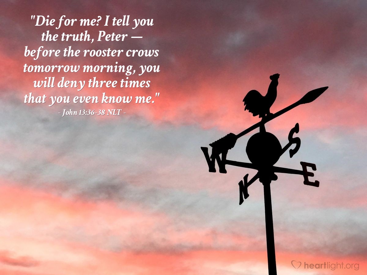 Illustration of John 13:36-38 NLT — "Die for me? I tell you the truth, Peter — before the rooster crows tomorrow morning, you will deny three times that you even know me."