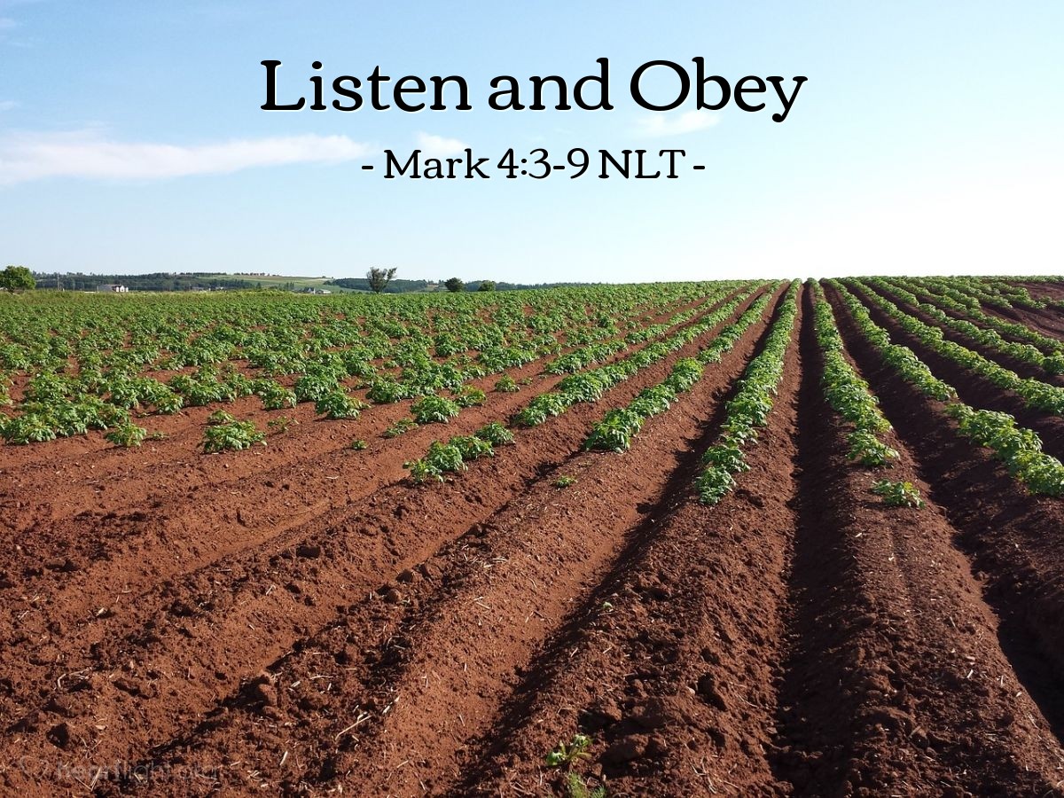 Illustration of Mark 4:3-9 NLT — "Listen!