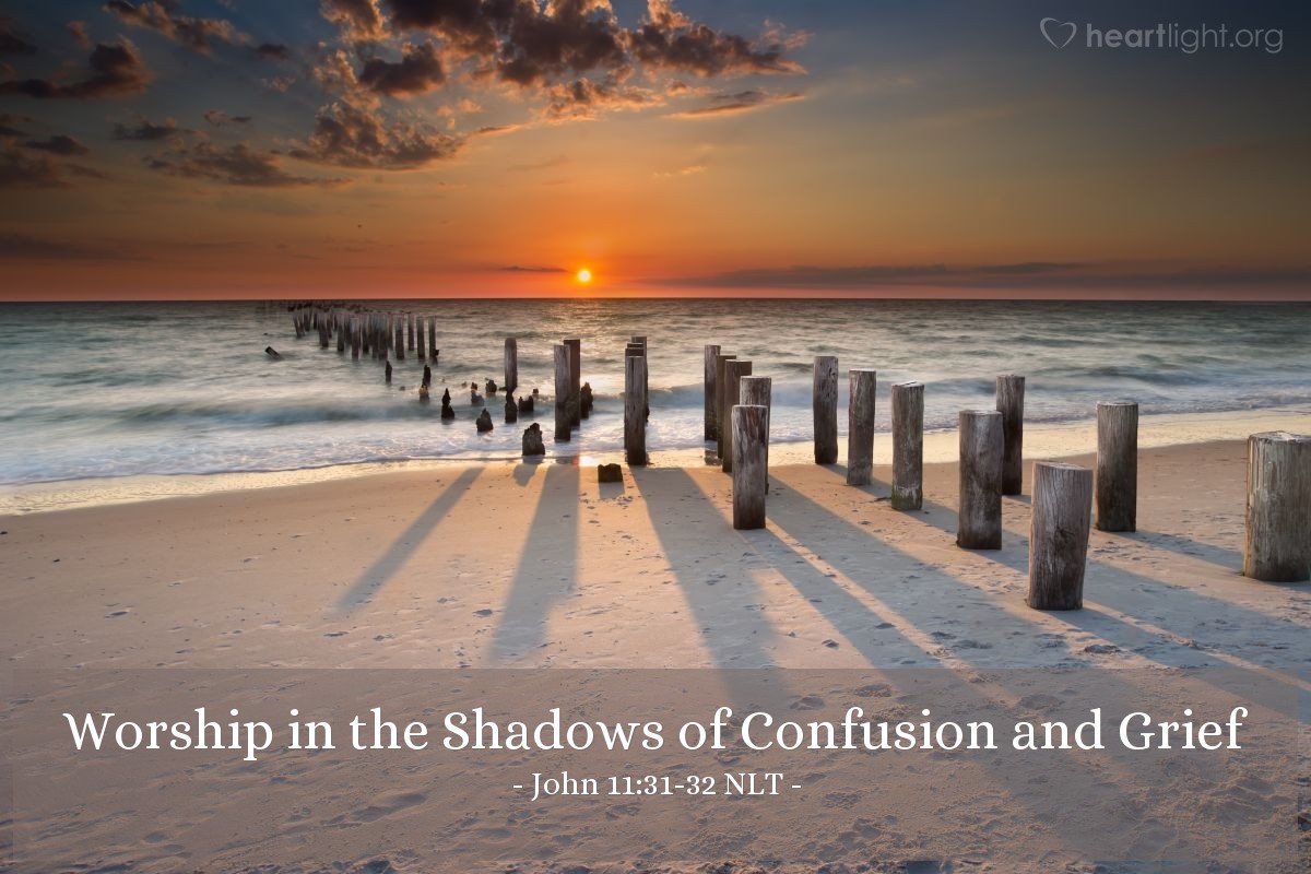 'Worship in the Shadows of Confusion and Grief' - John 11:31-32