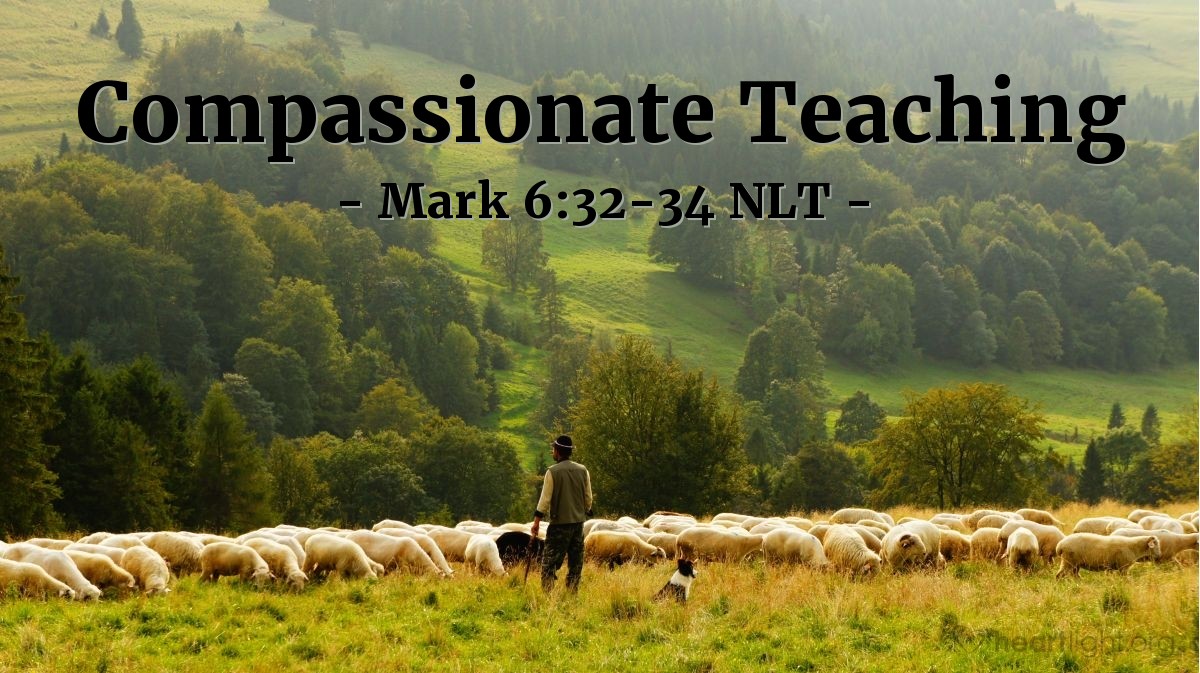 Illustration of Mark 6:32-34 NLT —  So he began teaching them many things.